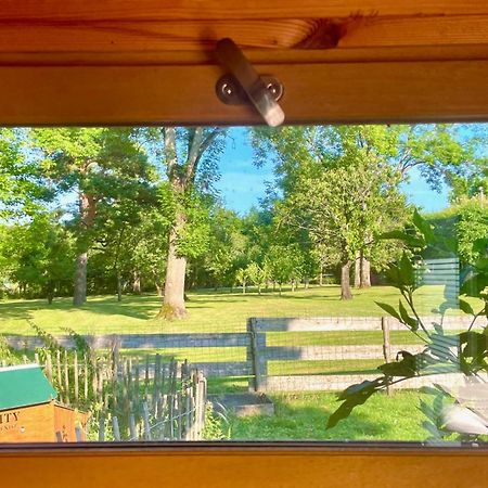 O Et Terre, Gite Ressourcement Bains Spa Cryo Sauna Et Foret Dormelles Bagian luar foto